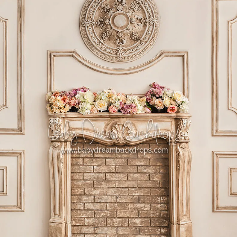 Formal Fireplace