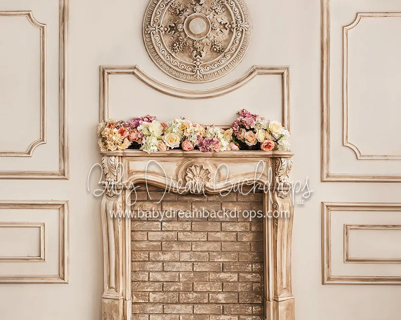 Formal Fireplace