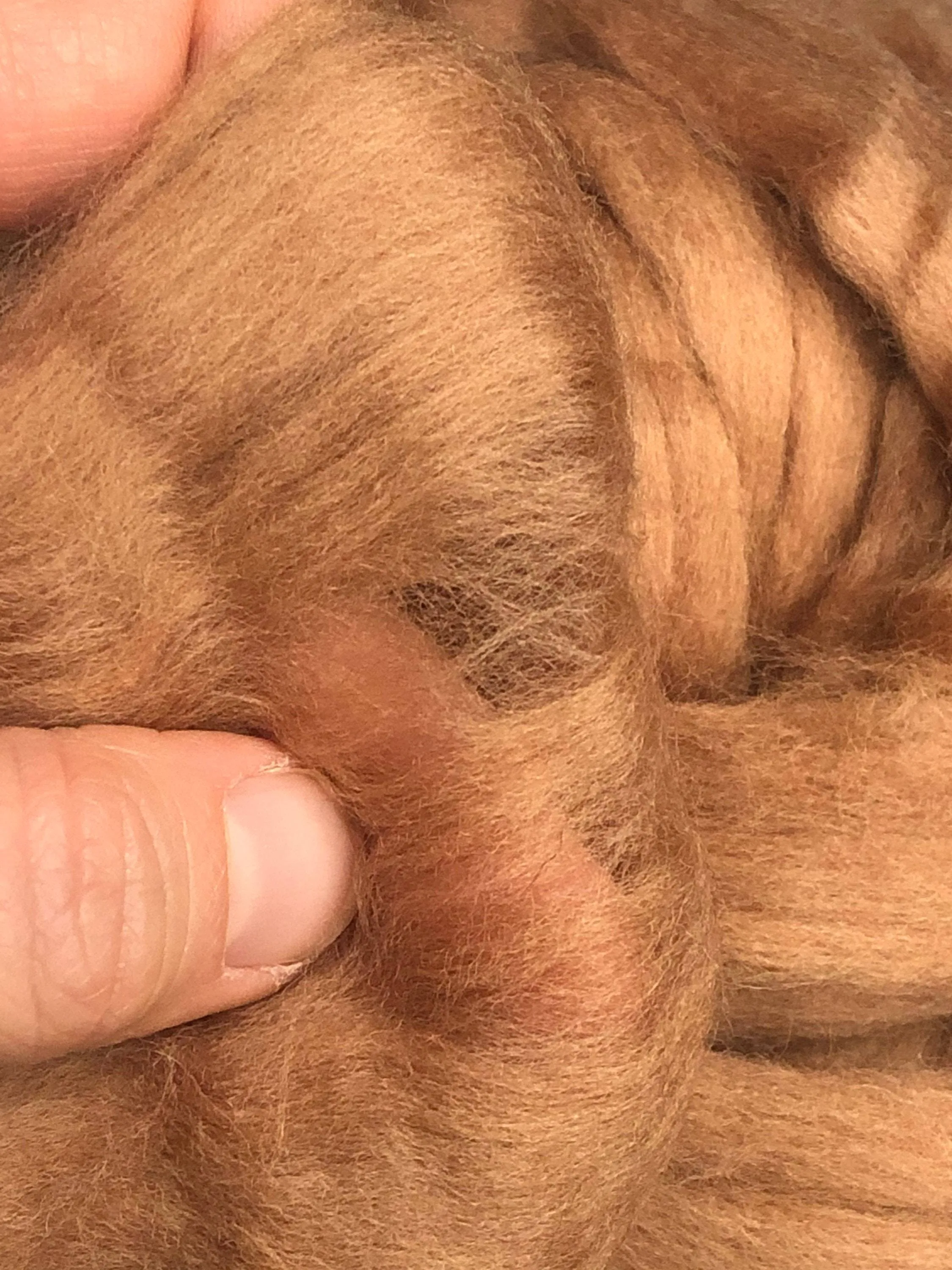 Skin Tone Felting Wool  Fawn Tan