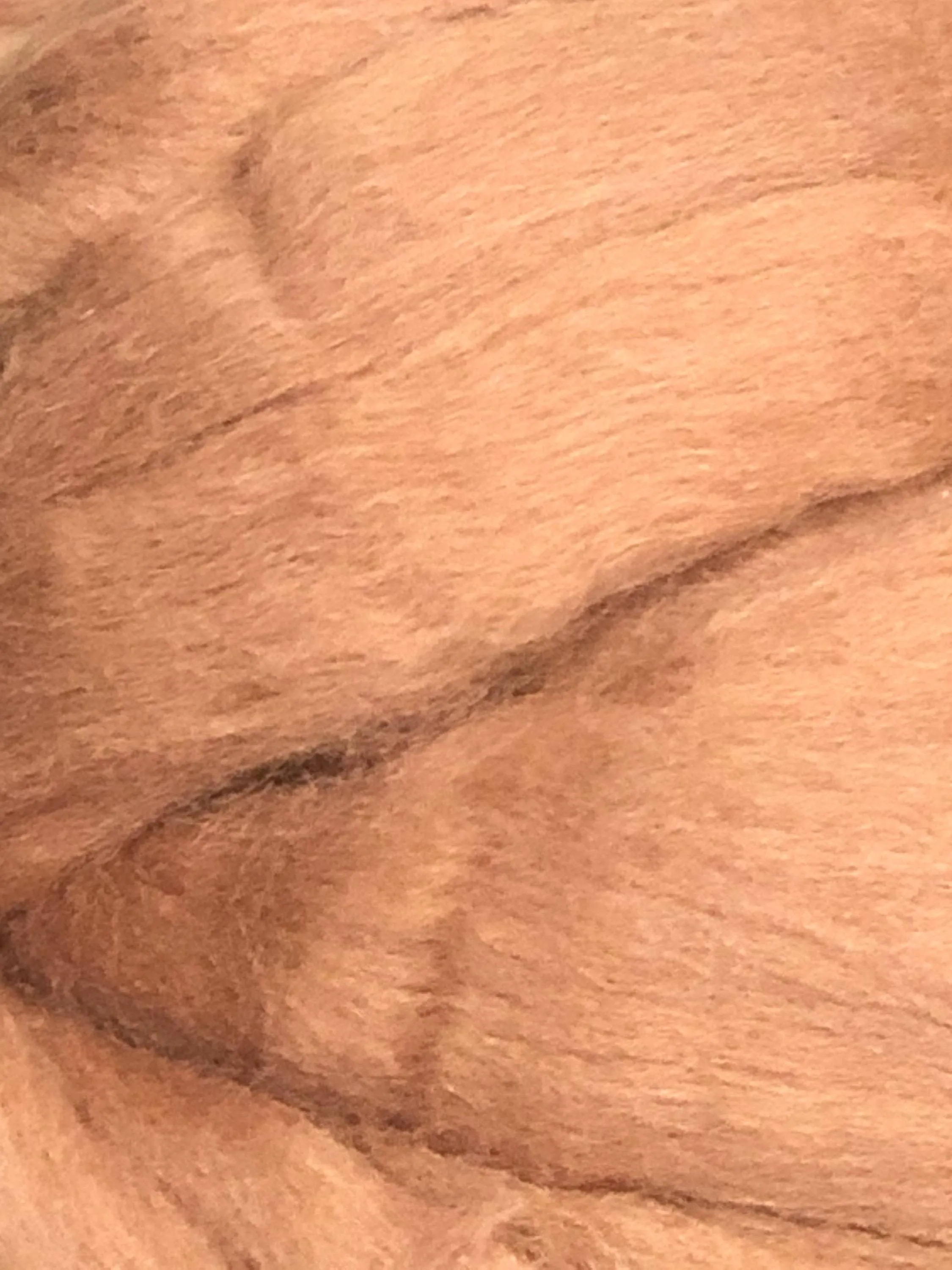 Skin Tone Felting Wool  Fawn Tan