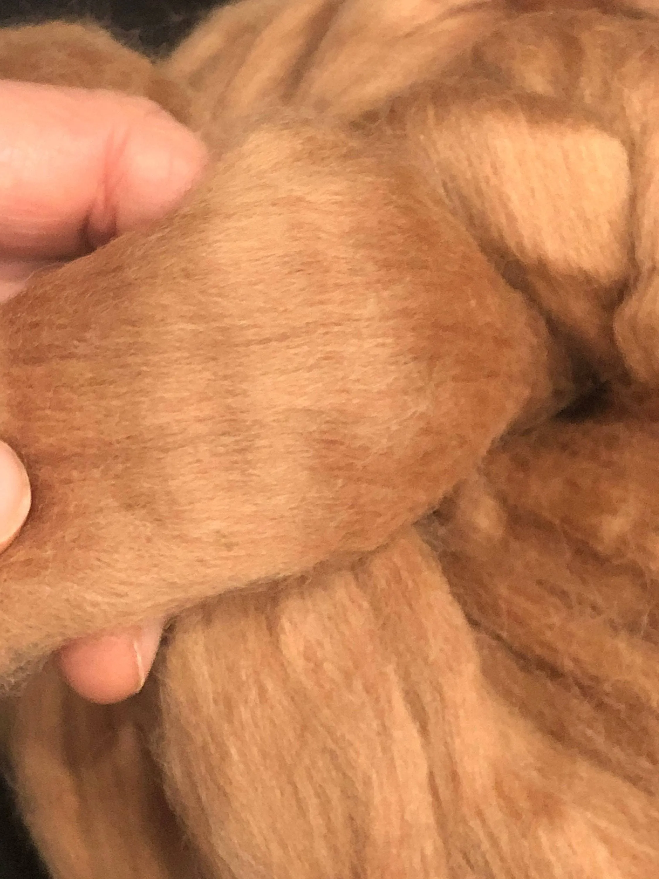 Skin Tone Felting Wool  Fawn Tan