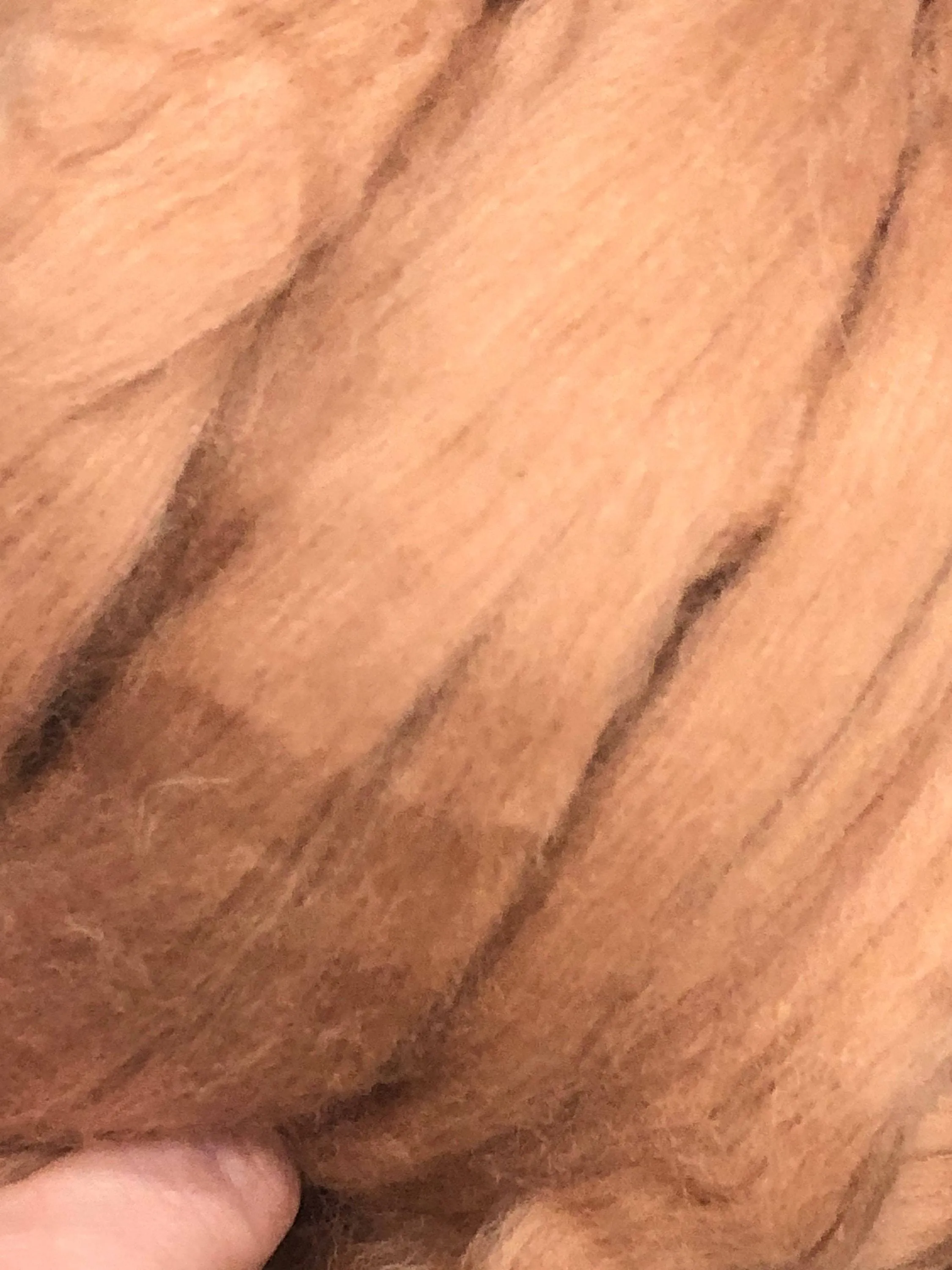 Skin Tone Felting Wool  Fawn Tan