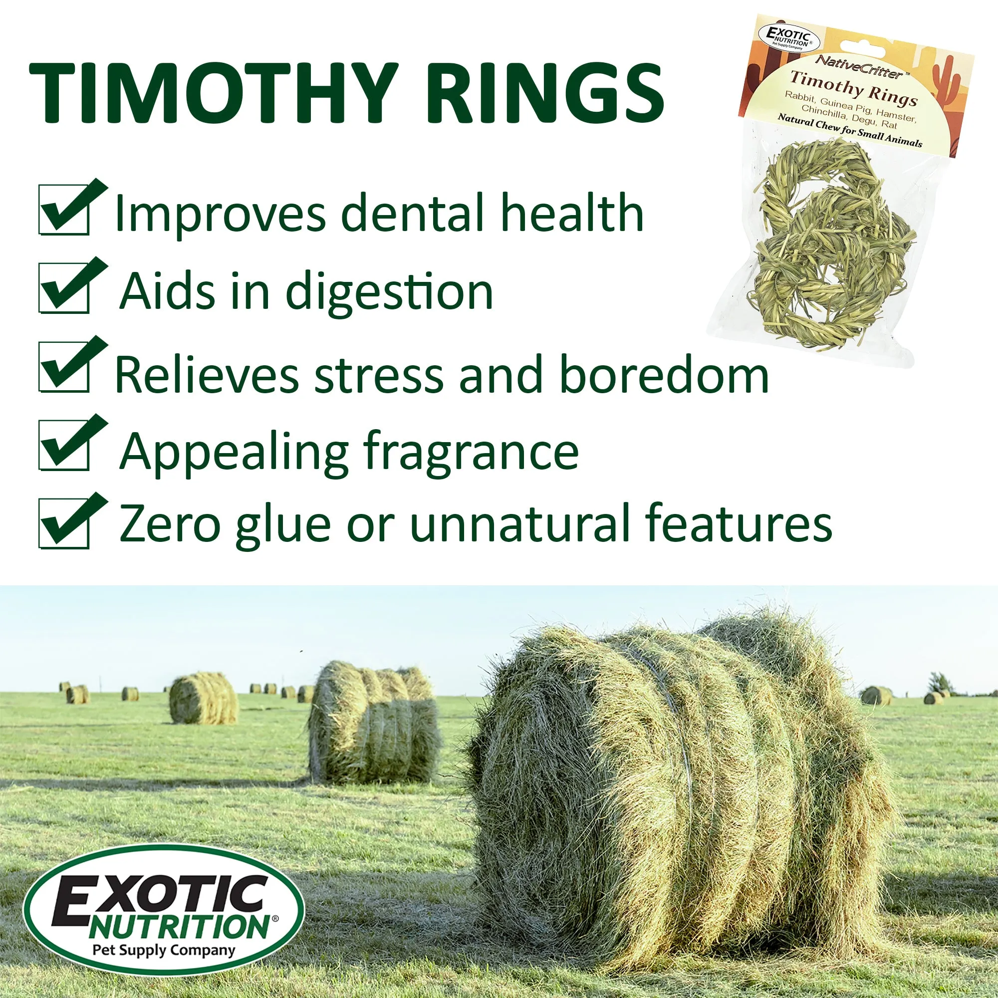 Timothy Rings